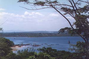 The Fishing Port at Tanga