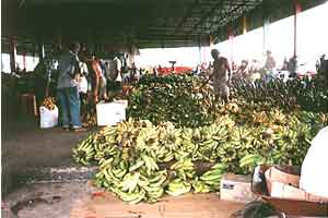 The banana shed at the market